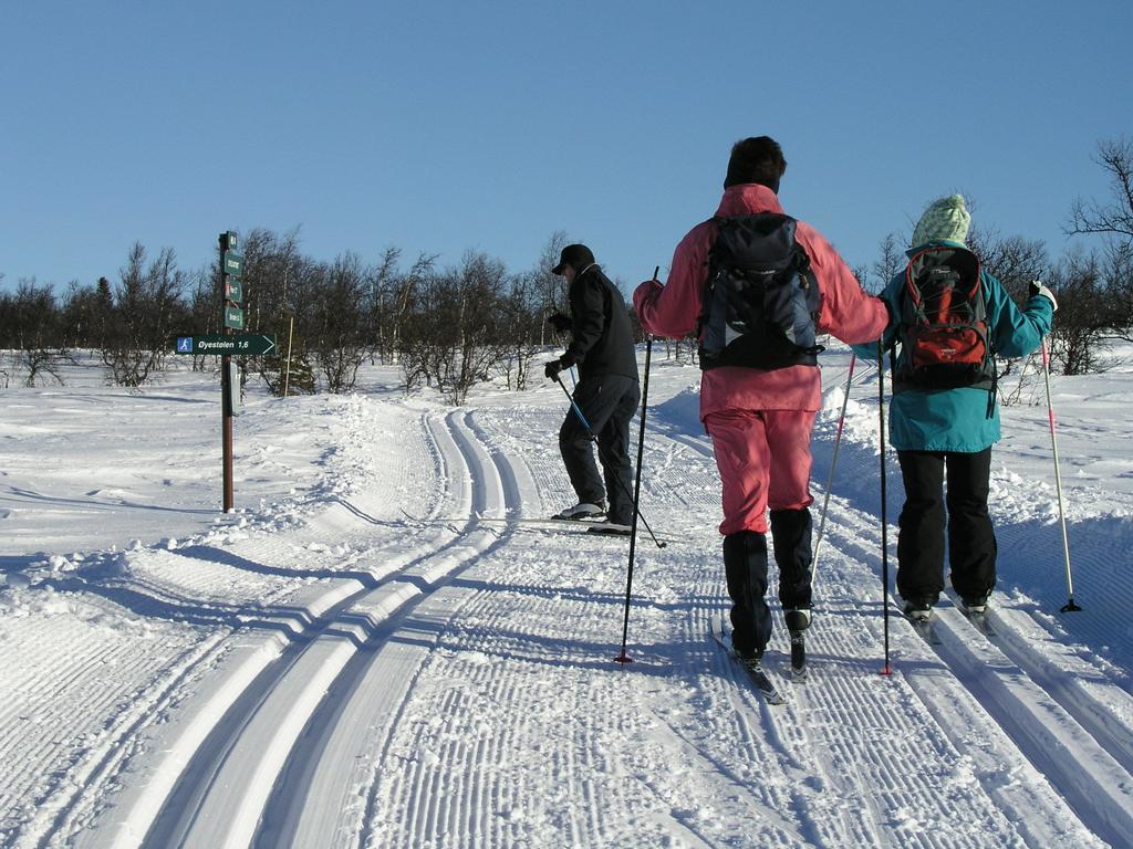 Birkelund Camping Geilo Exterior foto