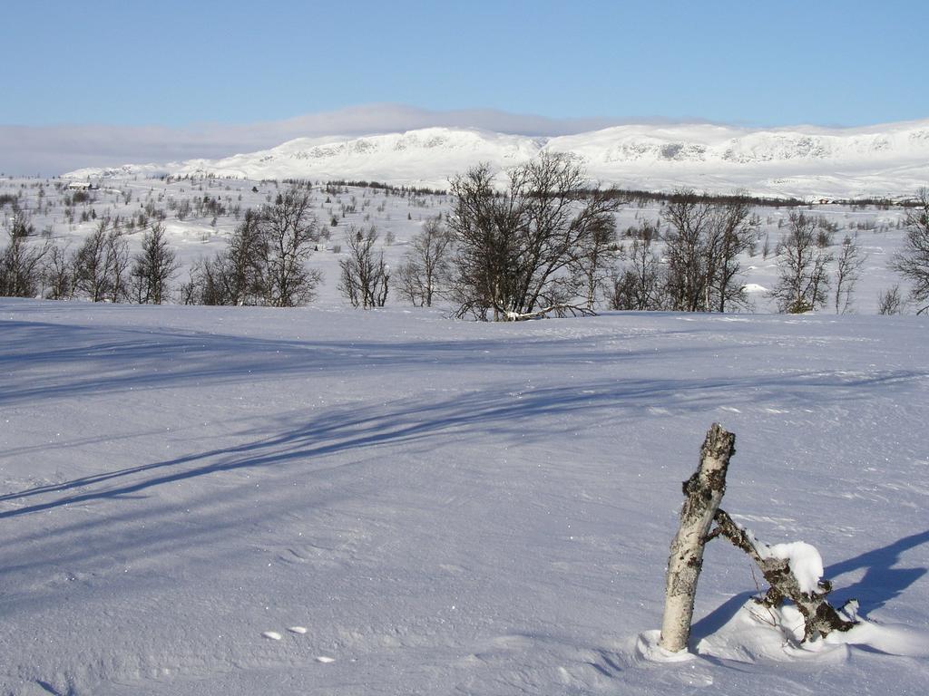 Birkelund Camping Geilo Exterior foto