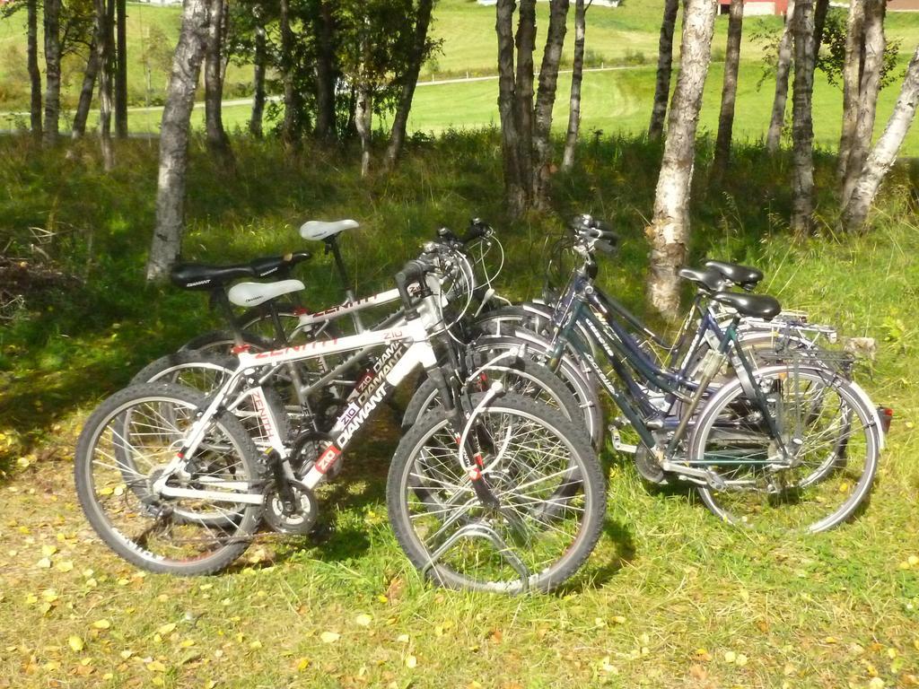 Birkelund Camping Geilo Exterior foto